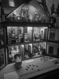 The Collector