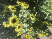 Free Chat Rooms - Buzzen Chat