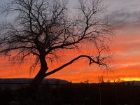 Free Chat Rooms - Buzzen Chat