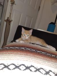 Free Chat Rooms - Buzzen Chat