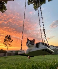 Free Chat Rooms - Buzzen Chat