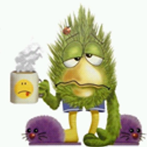 Bushman