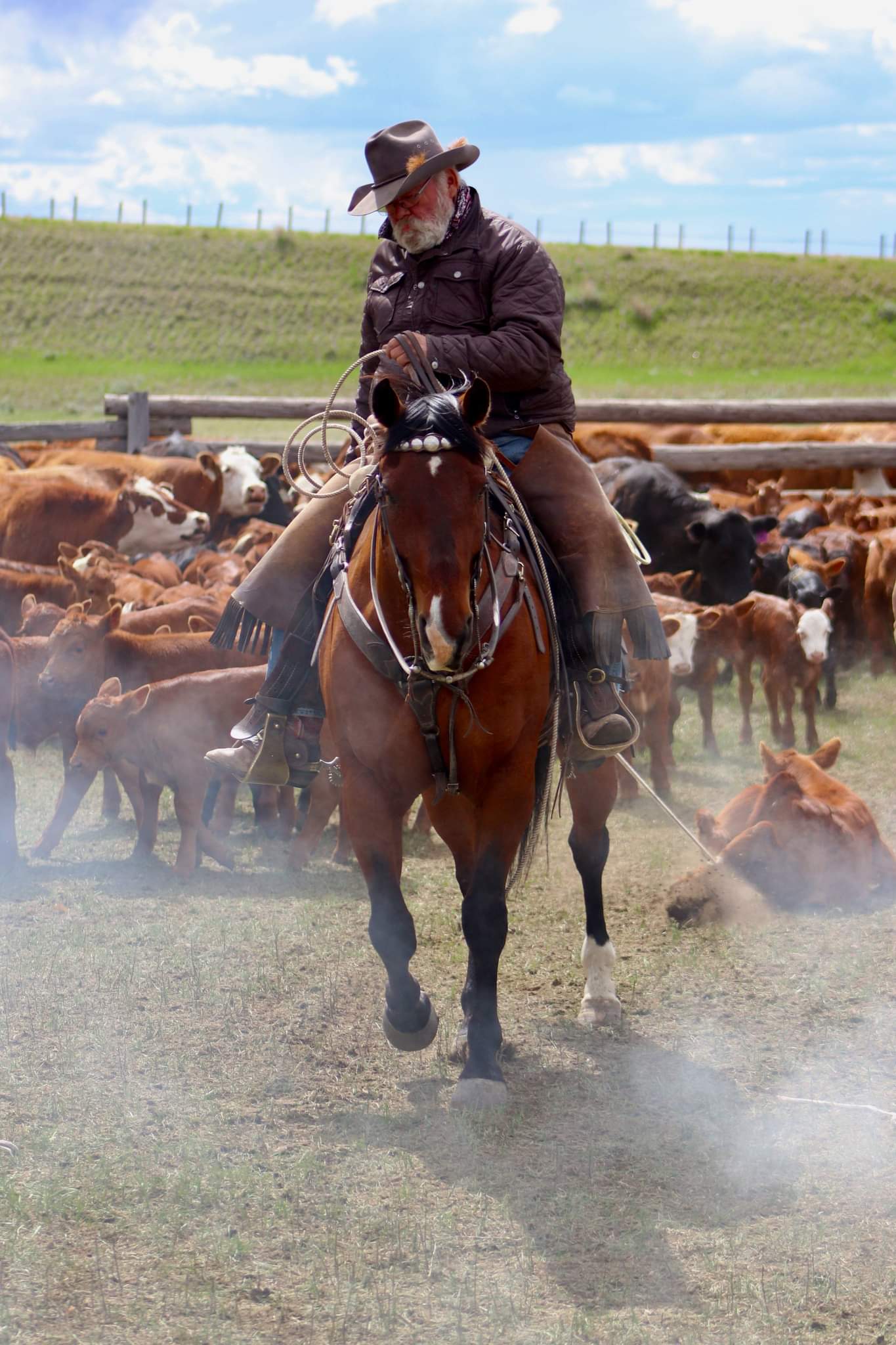SGcowboy55