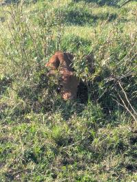 Free Chat Rooms - Buzzen Chat