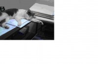 Free Chat Rooms - Buzzen Chat