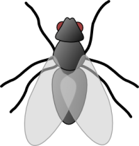 Free Chat Rooms - Buzzen Chat