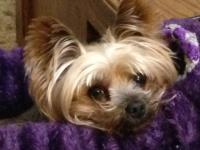 Free Chat Rooms - Buzzen Chat