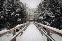 Free Chat Rooms - Buzzen Chat